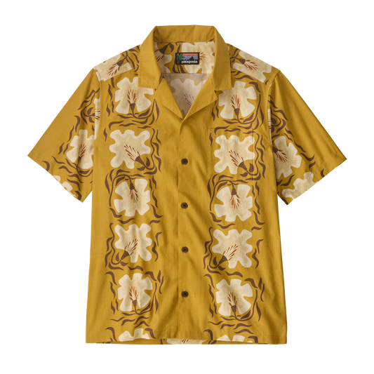 Future Flowers: Honey Gold